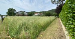 Terreno Edificabile Terreno Edificabile