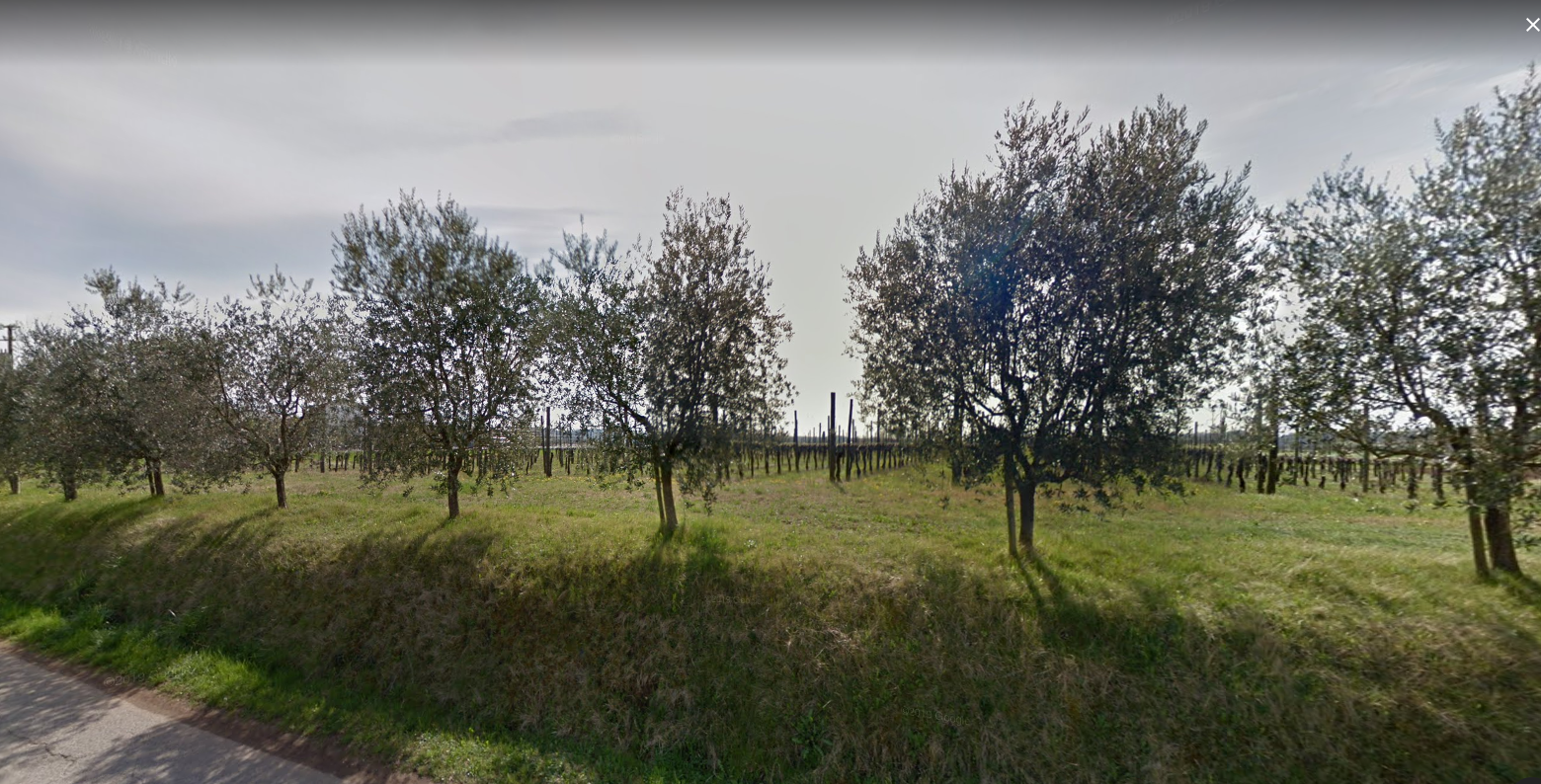 Terreno Edificabile Frazionabile Terreno Edificabile Frazionabile