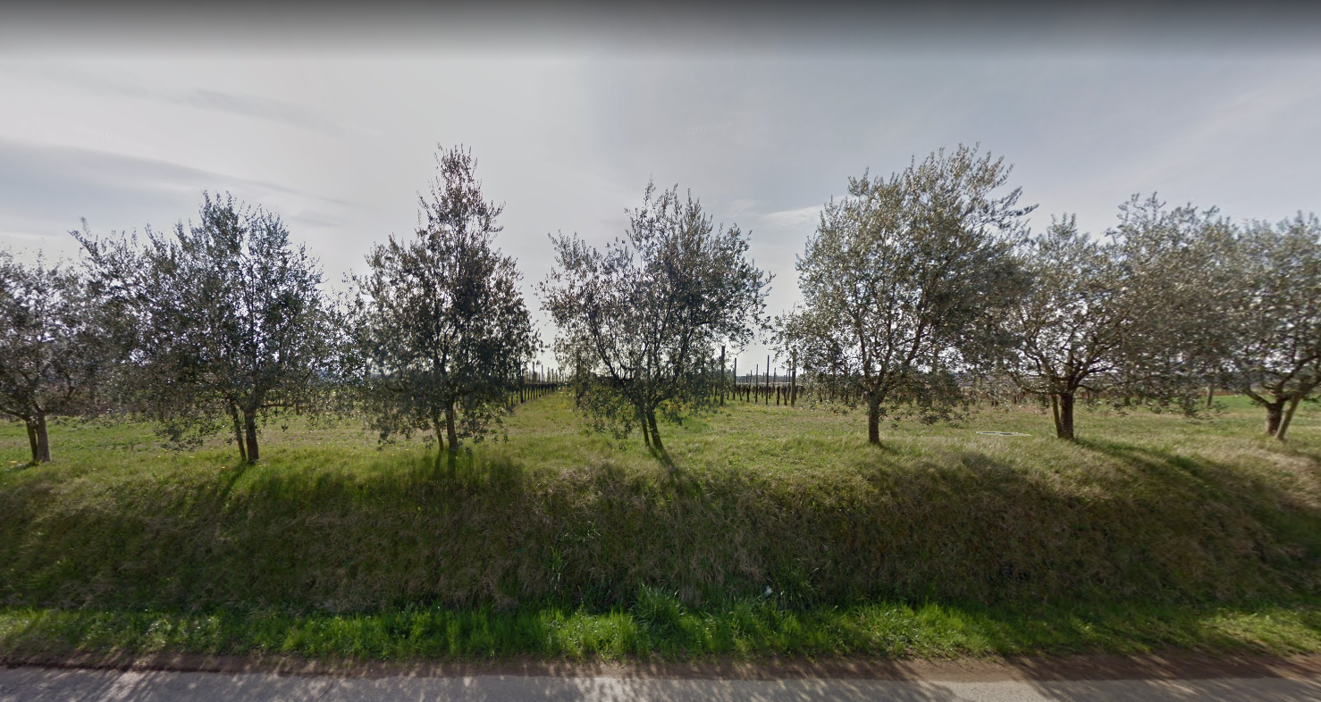 Terreno Edificabile Frazionabile Terreno Edificabile Frazionabile