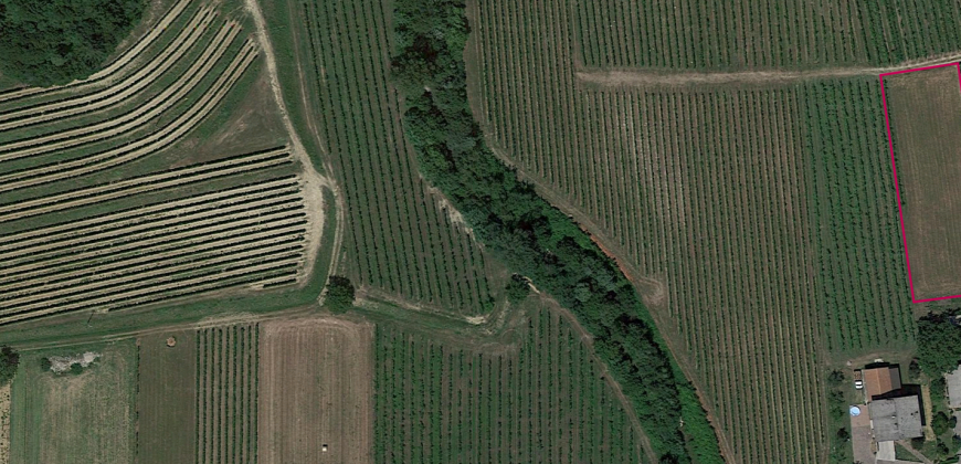 Terreno in Zona Residenziale Terreno in Zona Residenziale