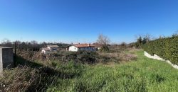 Terreno edificabile a Moruzzo