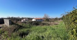 Terreno edificabile a Moruzzo