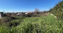 Terreno edificabile a Moruzzo