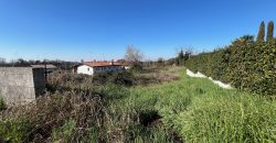 Terreno edificabile a Moruzzo