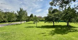 Villa Con Parco