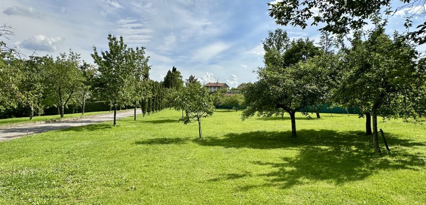 Villa Con Parco