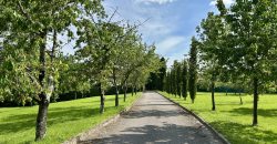 Villa Con Parco