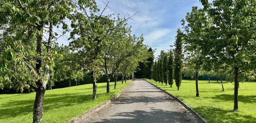 Villa Con Parco