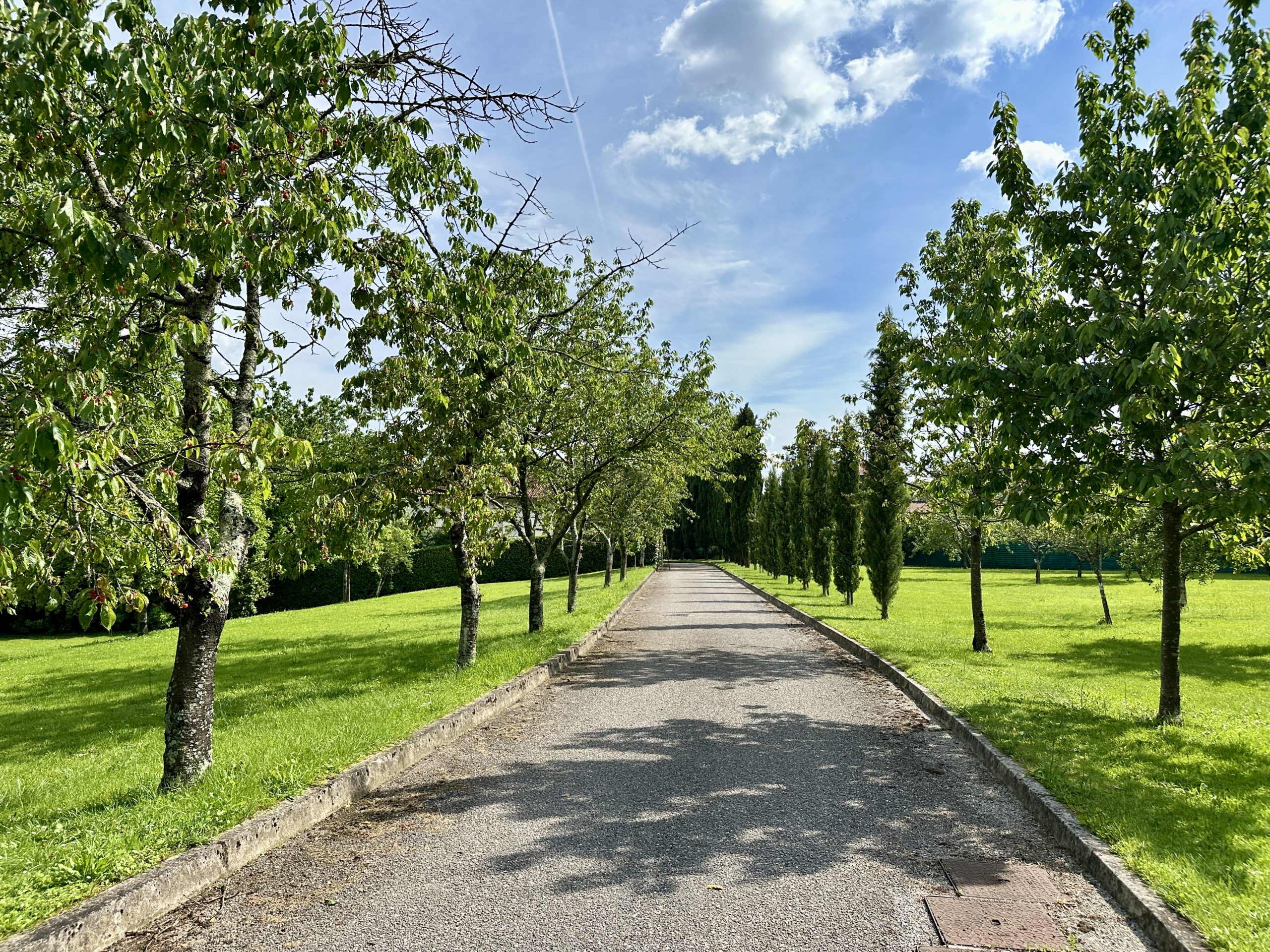 VILLA CON PARCO VILLA CON PARCO