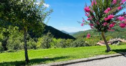 Villa Con Ampio Giardino Villa Con Ampio Giardino