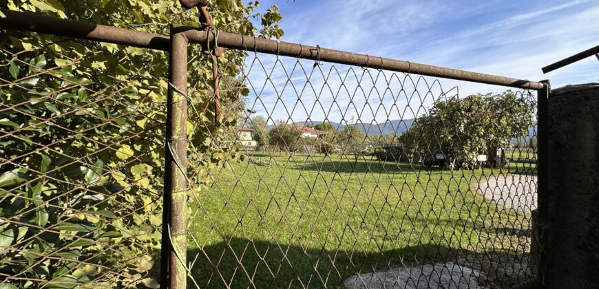 Ampia Casa Con Giardino